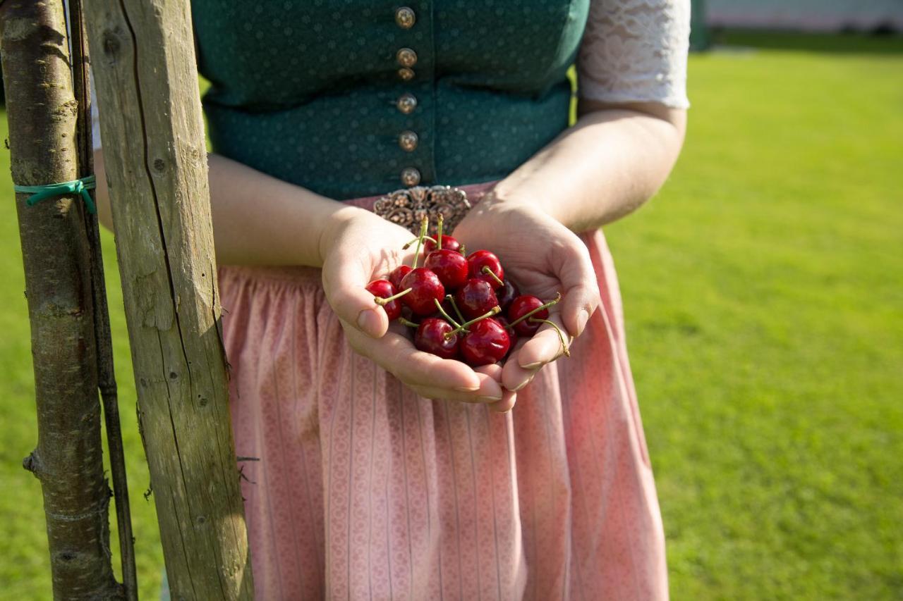 Obstgarten Gästehaus Hollenstein an der Ybbs Exterior foto